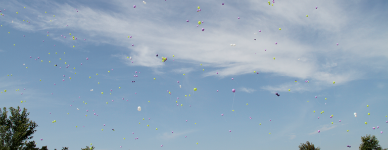 2017 Minnesota Hope & Hearts Run/Walk